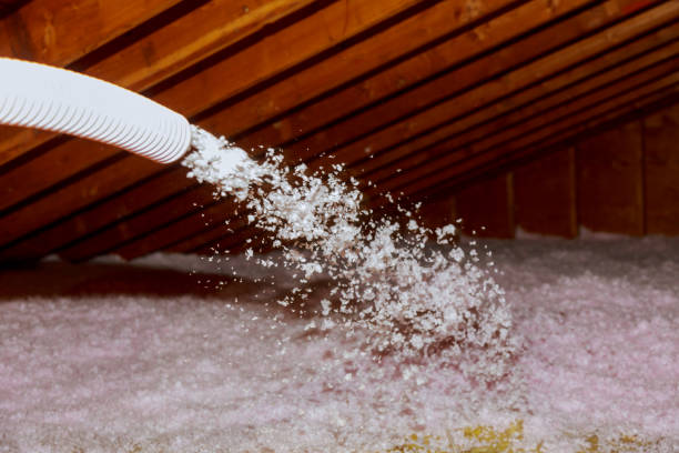 Best Insulation Maintenance and Repair in New Brockton, AL